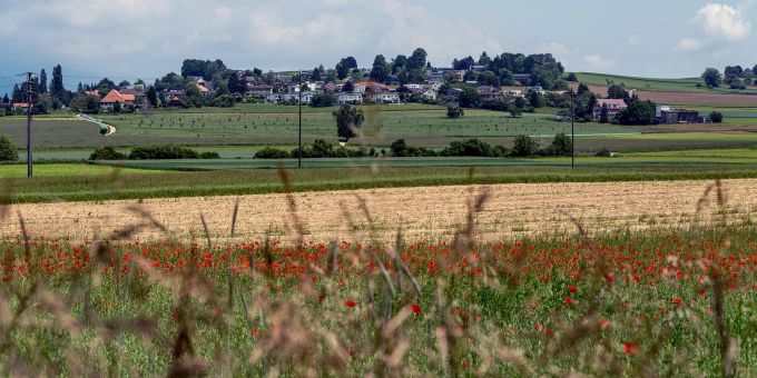 Blick auf Bellmund von Sutz Lattrigen aus. Blick auf Bellmund von Sutz Lattrigen aus.