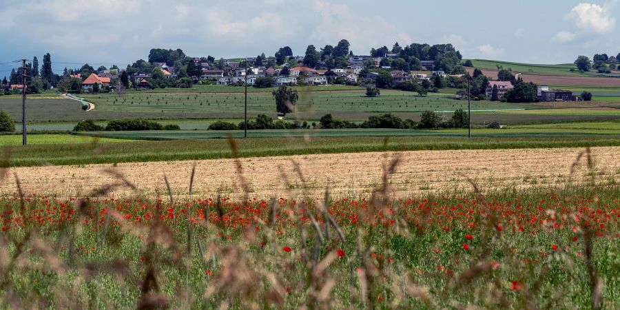 Blick auf Bellmund von Sutz Lattrigen aus.