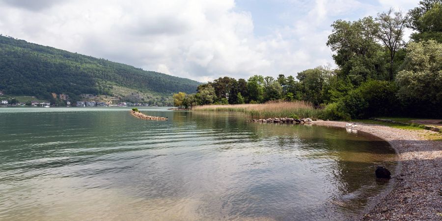 Der Bielersee bei Ipsach Strandboden.