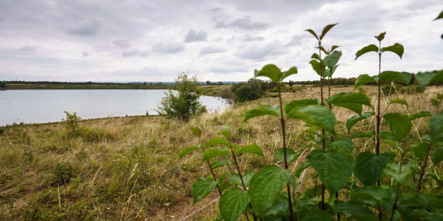 Die Leiche der 14-jährigen Ayleen wurde an einem kleinen See in einem Naturschutzgebiet der Wetterau nördlich von Frankfurt am Main gefunden.