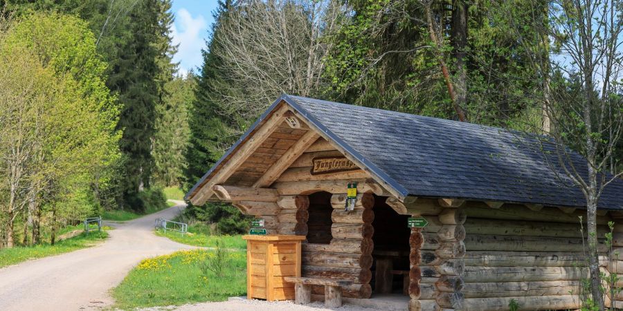 Zahlreiche ehrenamtliche Wegwarte sind in Sachsen für die Pflege und den Erhalt der Wanderwege zuständig.