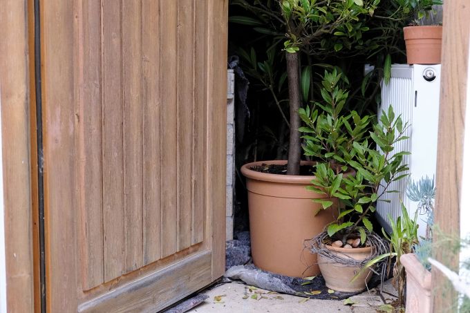 Nur ein bisschen dürfen die Gartenpflanzen im Topf schon raus aus ihrem Winterlager. Gartenpflanzen Topf Winterlager