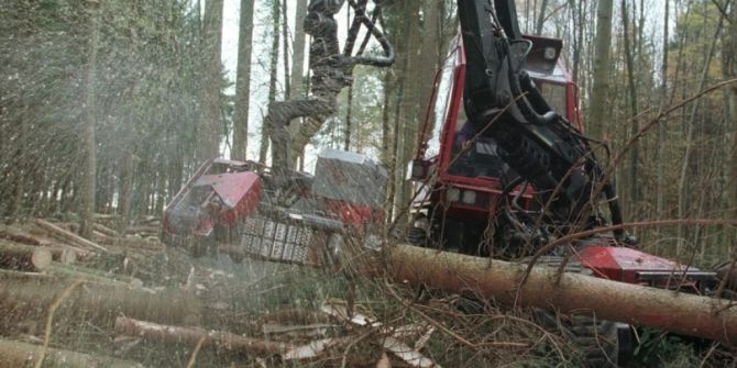 schweiz wald erneuerbare energie