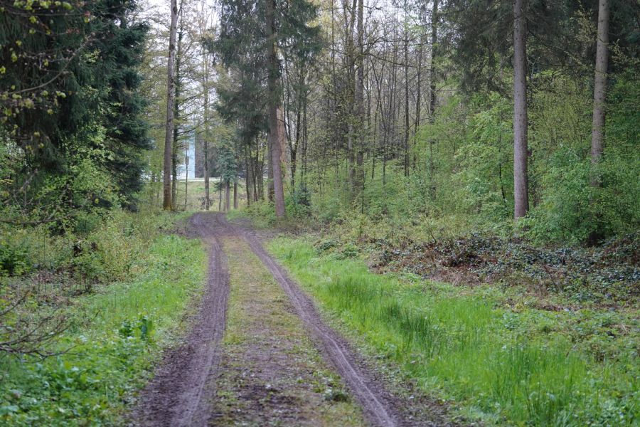 Einige Aktivisten mussten aus grosser Höhe geborgen werden.