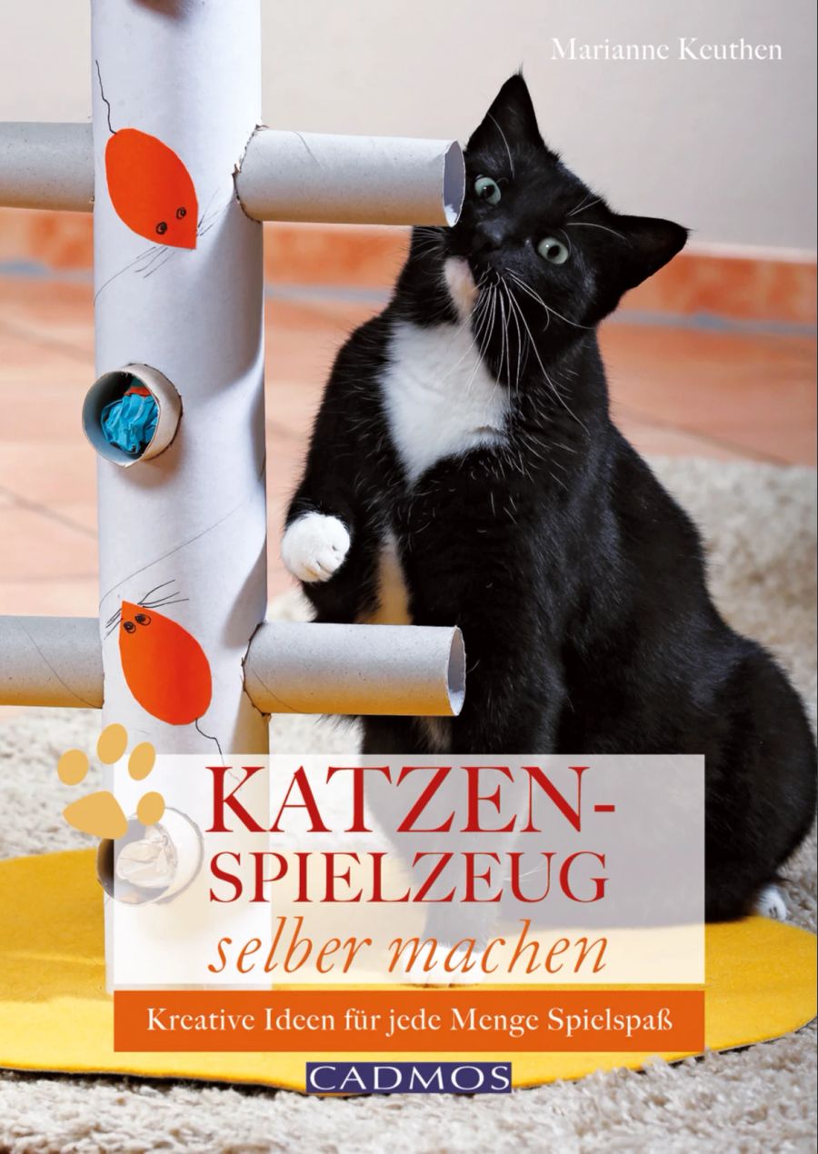 Buchcover Katzenspielzeug Cadmos