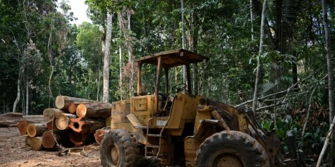 Holzfäller im brasilianischen Amazonas-Gebiet Holzfäller im brasilianischen Amazonas-Gebiet