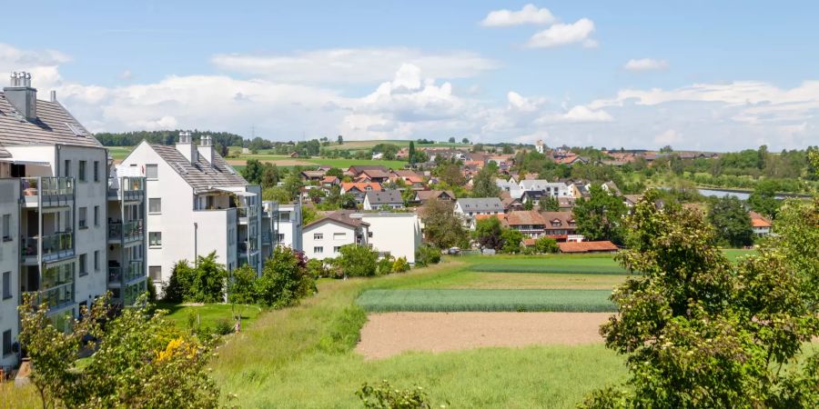 Aussicht über Steinmaur.