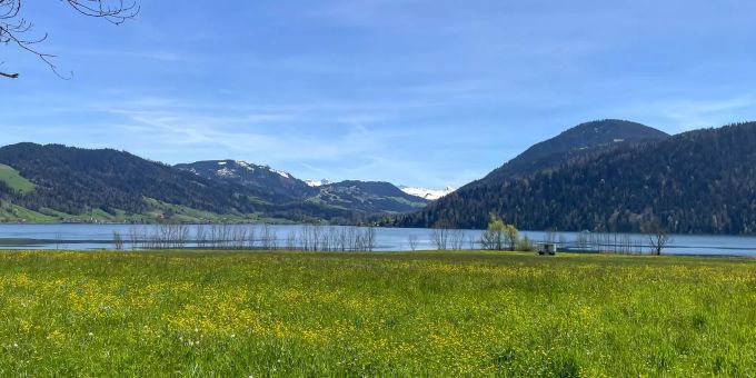 Der Ausblick auf den Ägerisee in Oberägeri. Der Ausblick auf den Ägerisee in Oberägeri.