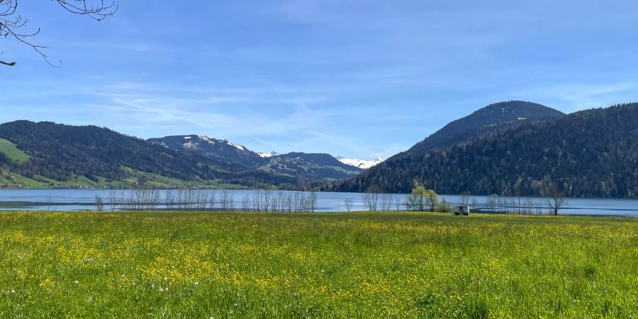 Der Ausblick auf den Ägerisee in Oberägeri.