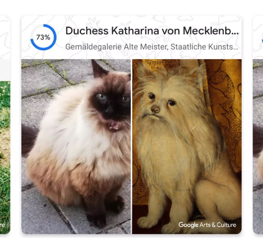 Fehlinterpretationen durch den Algorithmus sind ebenfalls möglich.