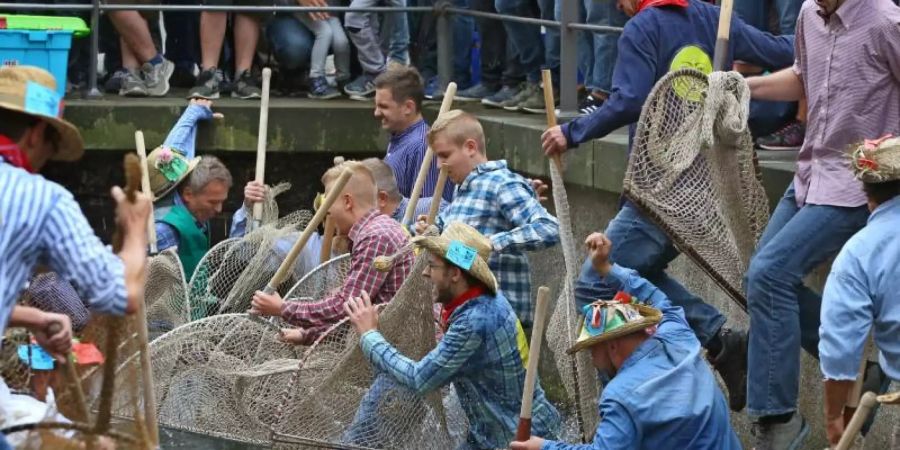 Teilnehmer des Fischertages springen mit ihren Keschern in den Stadtbach - allerdings sind Frauen nicht zugelassen. Foto: Karl-Josef Hildenbrand/dpa/Archivbild