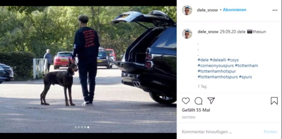 Dele Alli ladet seinen Vierbeiner aus dem Kofferraum.