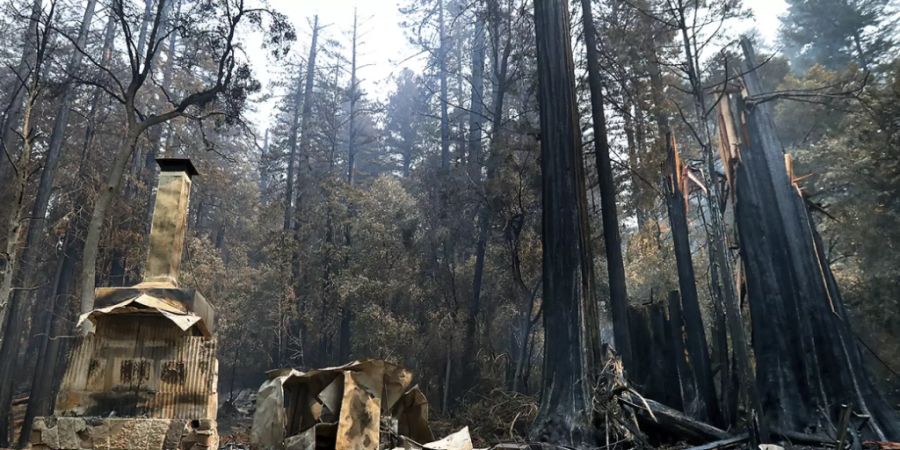 Die Feuerstelle des «Nature Lodge Museum and Store» im «Big Basin Redwoods State Park» steht umgeben von Verwüstungen durch die verheerenden Waldbrände. Foto: Shmuel Thler/The Santa Cruz Sentinel/AP/dpa