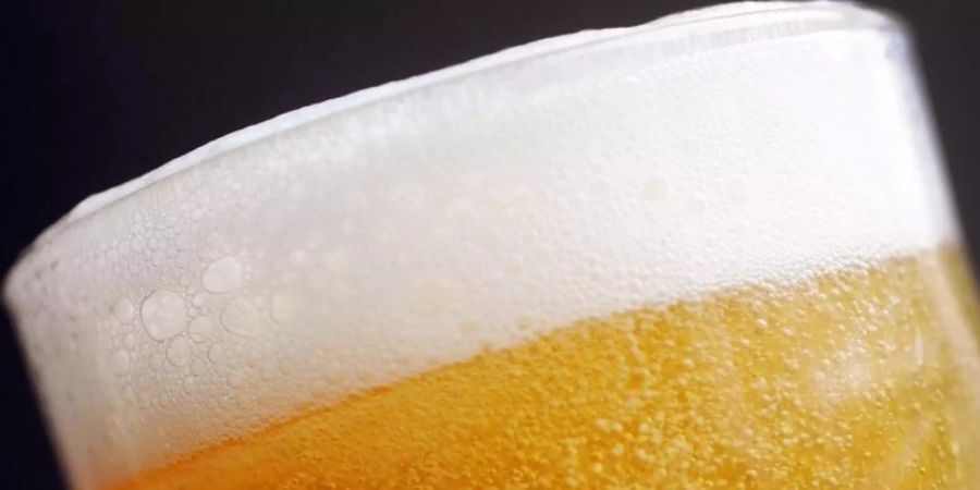 Was man schon immer über Alkohol wissen wollte... Foto: picture alliance / Marius Becker/dpa