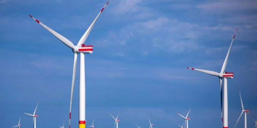 Windräder in der Ostsee zwischen den Inseln Rügen und Bornholm. Foto: Jens Büttner/dpa-Zentralbild/ZB