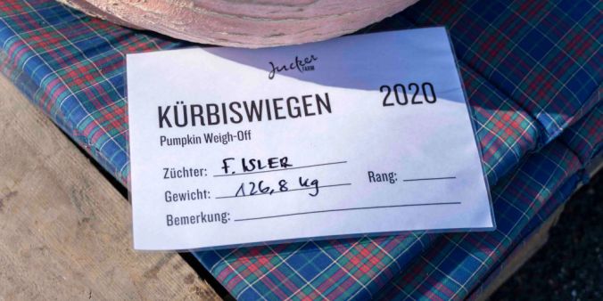 126 Kilogramm: Ein Kürbis auf der Jucker Farm.