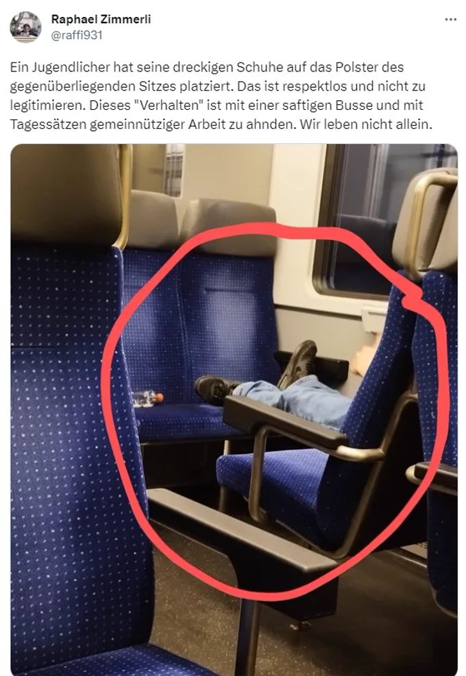 Dieses Foto sorgt im Netz für Furore. SBB