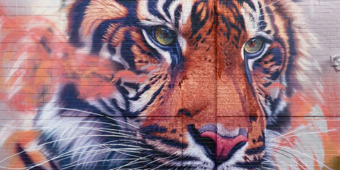 Enthüllung des Tiger-Wandbildes für die Kampagne «Break the Vicious Cycle» von VIER PFOTEN in den USA, 2023. Vier Pfoten