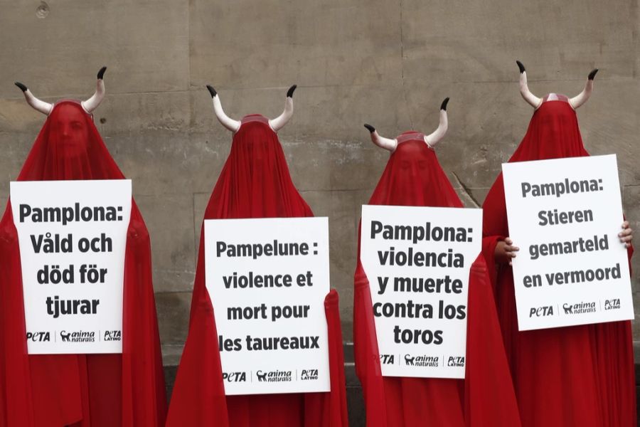 Tierschützer Pamplona Stiere Protest