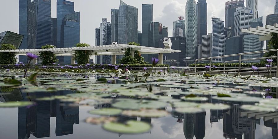 Swiss Life wurde in Singapur wegen Richtlinienverstössen zur Bekämpfung von Geldwäsche und Terrorfinanzierung gebüsst. (Symbolbild)