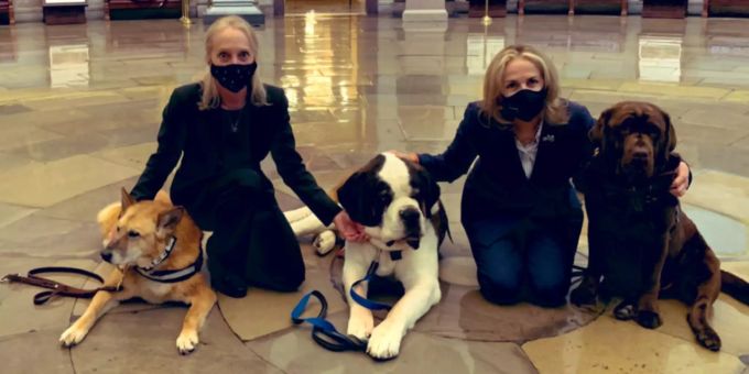 Good News - Therapiehunde verzücken Kapitol-Politiker beider Parteien