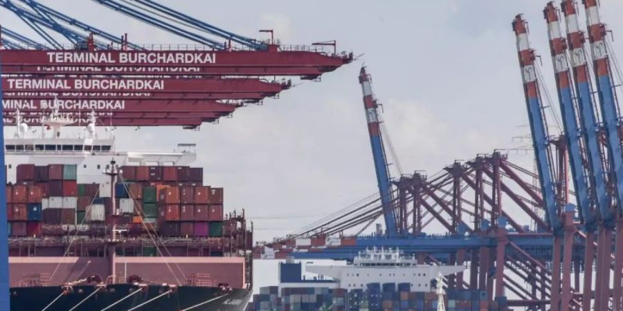 Containerschiffe werden am Terminal Burchardkai (l.) und am Eurogate (r.) in Hamburg entladen. Foto: Axel Heimken/dpa