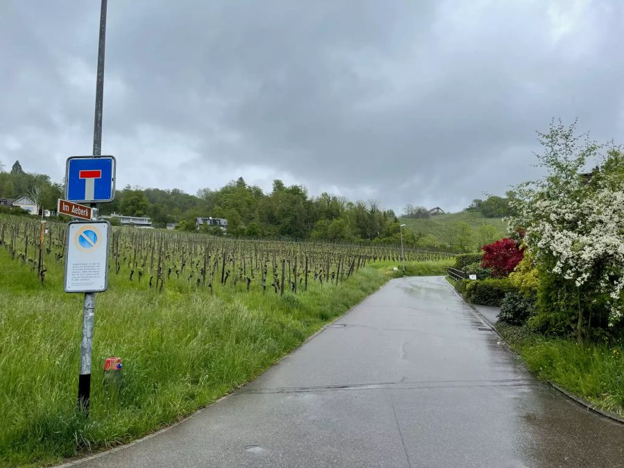 In dieser Strasse endete die Autofahrt der beiden 14-Jährigen.