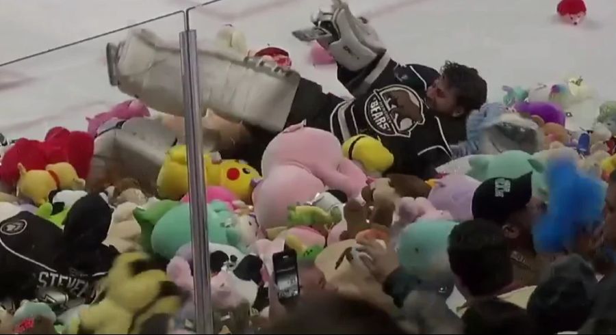 Die Eishockeyspieler der Hershey Bears freuen sich über die Plüschtiere.
