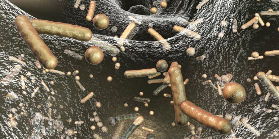 Grafik Nahaufnahme MRSA Bakterien