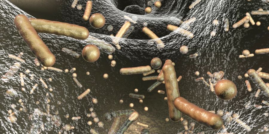 ki antibiotika