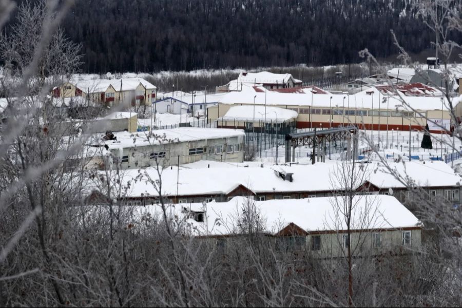 Doch die Umstände rund um seinen Tod sind weiterhin unklar. Laut russischen Behörden sei Nawalny bei einem Spaziergang zusammengebrochen.