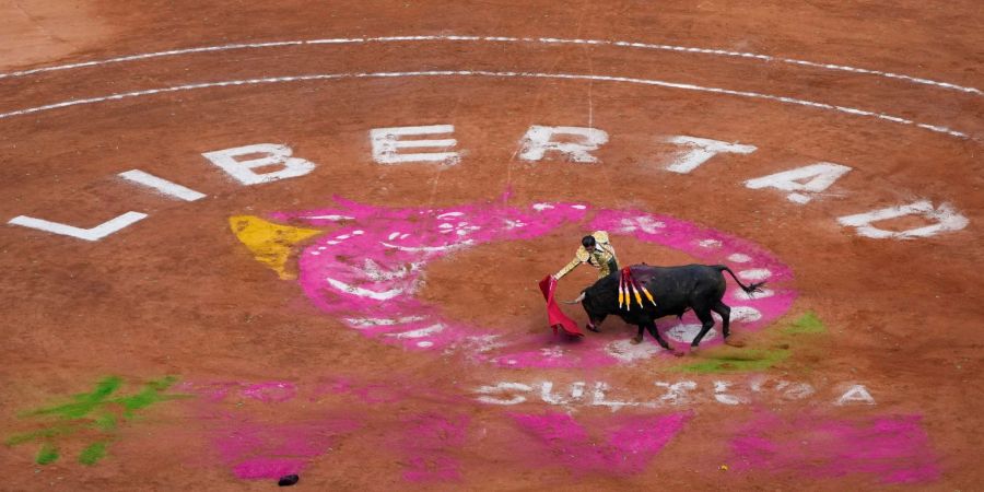 Nach rund anderthalbjähriger Pause finden in der Plaza México in Mexiko-Stadt wieder Stierkämpfe statt.