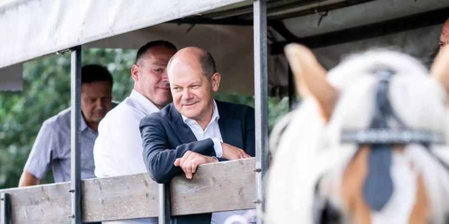 Im Brandenburger Landtagswahlkampf: Bundesfinanzminister Olaf Scholz (SPD) lässt sich per Pferdekutsche über das Ackerland eines Landwirts chauffieren. Foto: Kay Nietfeld