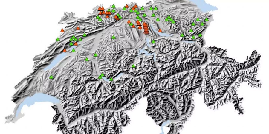 Beobachtete Buchen mit (rot) und ohne (grün) vorzeitiger Blattverfärbung im Jahr 2018. Bild: WSL