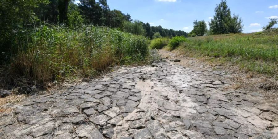 Ausgetrocknetes Flussbett der Schwarzen Elster