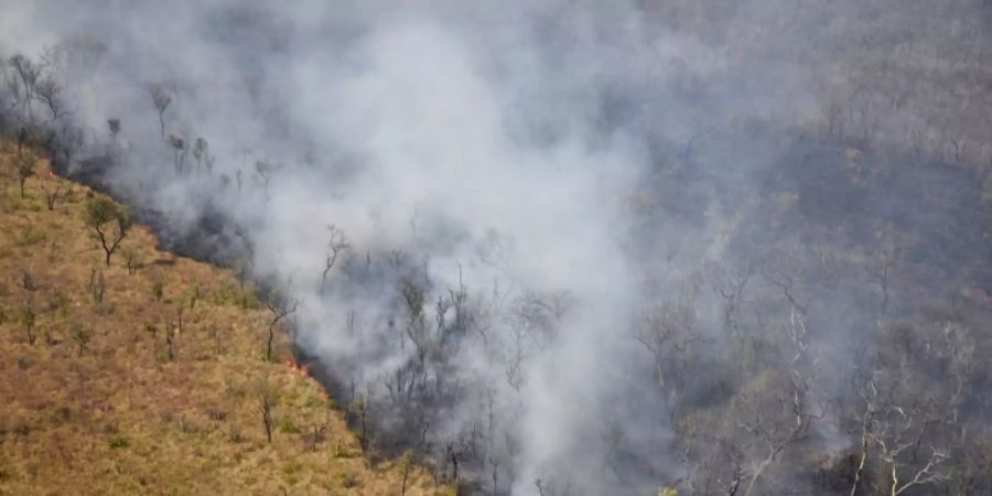 Brände in der Nähe von Charagua in Ost-Bolivien