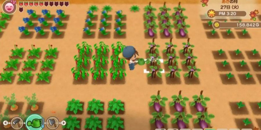 Harvest Moon: friends of mineral town