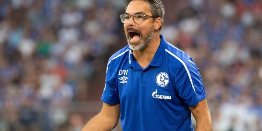 Schalke-Trainer David Wagner würde mit seinem Team gerne die Tabellenführung übernehmen. Foto: Federico Gambarini