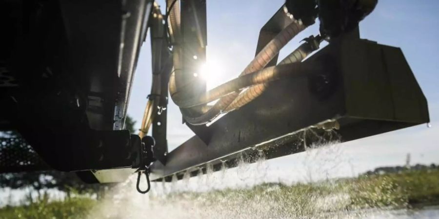 Salzwasser gegen die Hitze. Foto: Kees Van De Veen/ANP
