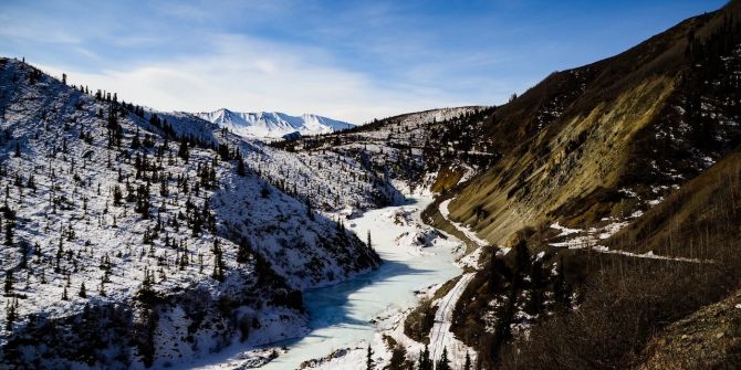 Schnee Berge Wald Klimawandel