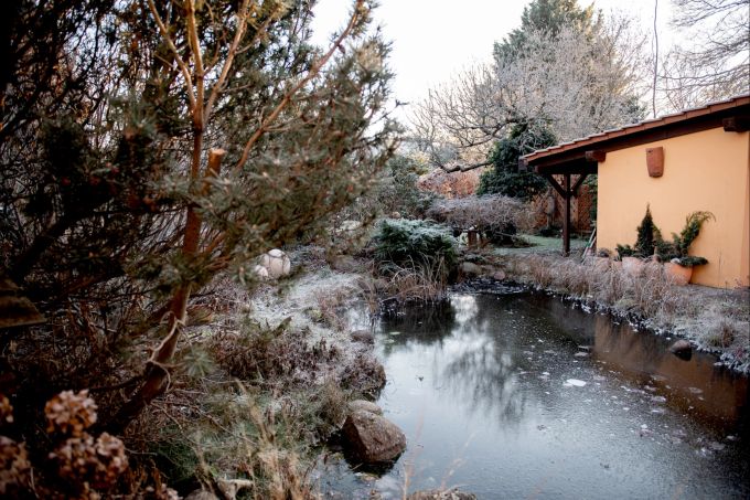Von wegen karger Garten im Winter. Manche Gehölze zeigen dann erst ihren wahren Schmuck. Garten Eis Gehölze Winter