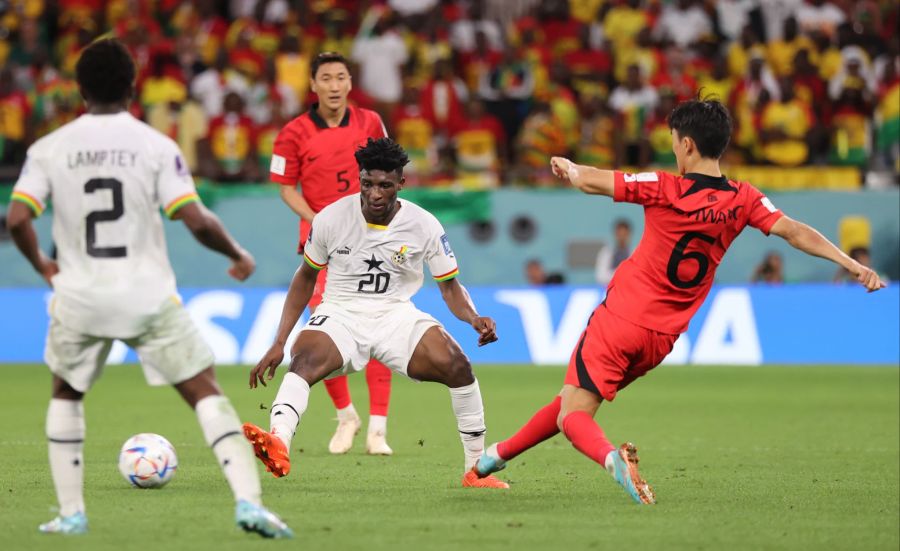 Südkorea Ghana WM 2022