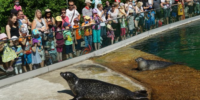 Tierpark Bern Dählhölzli