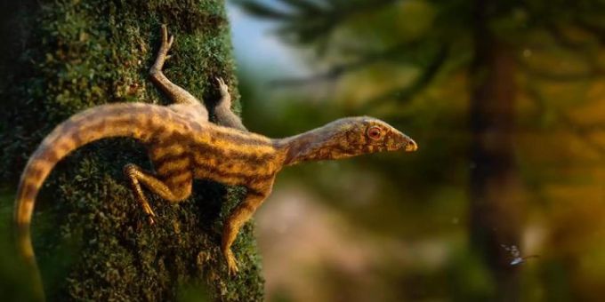 Ganzkörperrekunstruktion eines Lagerpetiden (Ixalerpeton polesinensis) des Künstlers Rodolfo Nogueira.