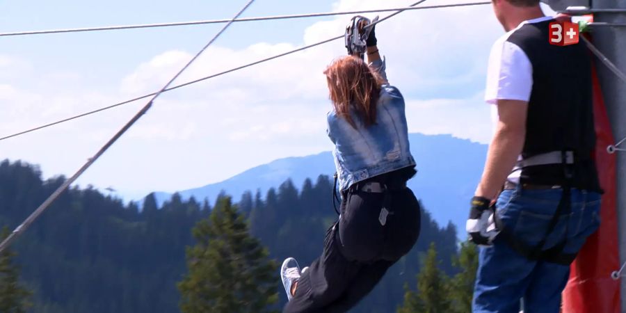«Bauer ledig sucht»