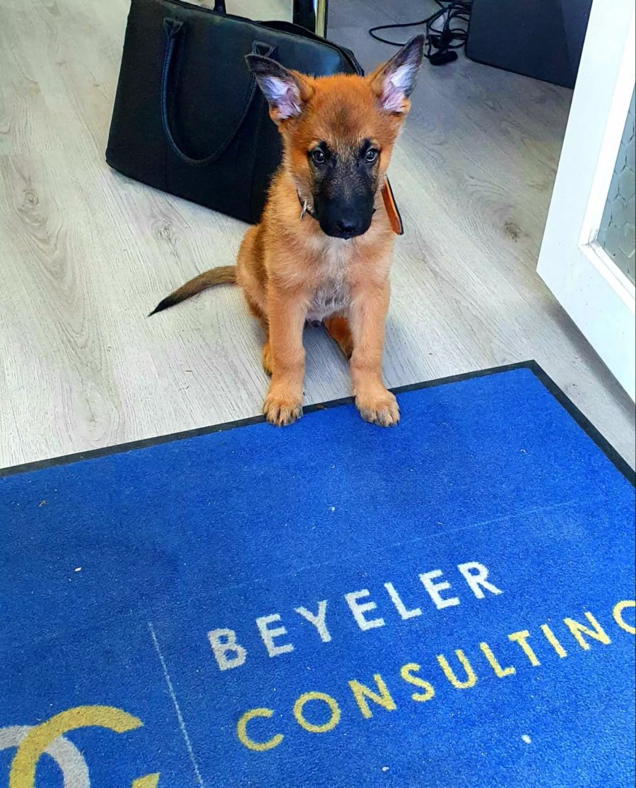 Beyeler Consulting GmbH