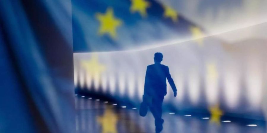 Die EU möchte eine alternative Möglichkeit schaffen, sich im Internet zu identifizieren. Foto: Christoph Soeder/dpa