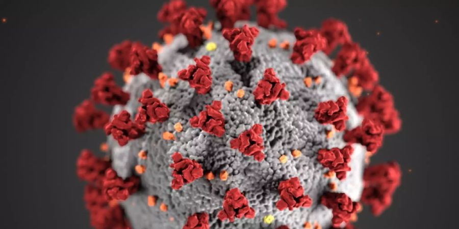 In der Schweiz und in Liechtenstein sind dem Bundesamt für Gesundheit für Freitag bis Sonntag insgesamt 12'839 neue Coronavirus-Ansteckungen gemeldet worden.