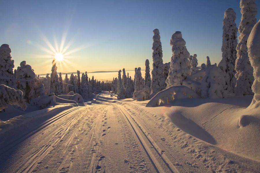 Lappland Winter schnee