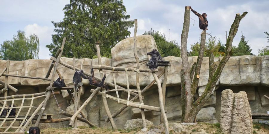 Der Zoo in Gossau (SG).